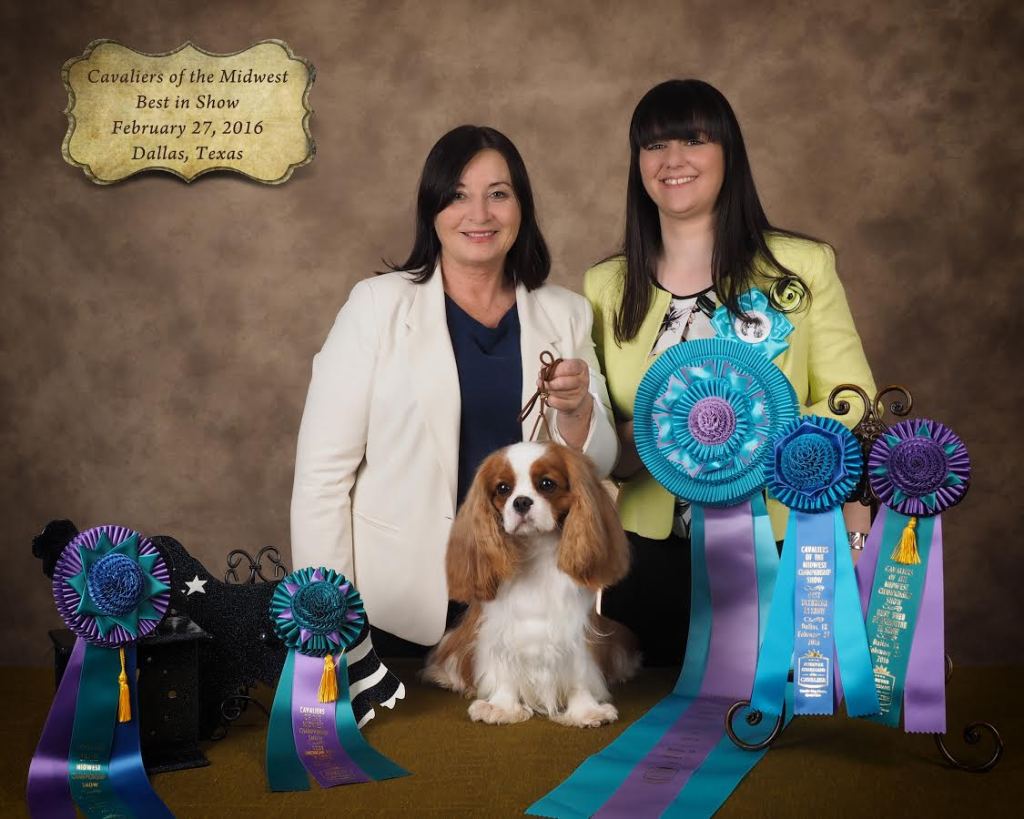 Ch. Jadestone Legend Has It, JW, Best In Show photo Cavaliers Of The MidWest Specialty